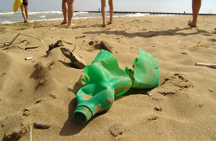 Decline Plastic Waste In The North Sea