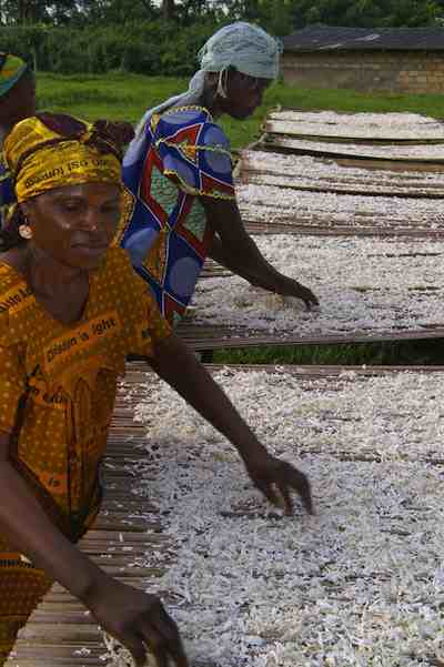 African women drying cassava in DRC