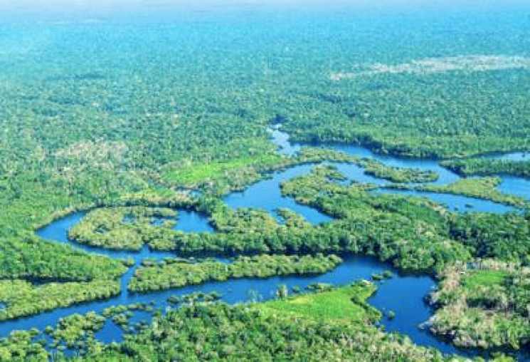 Photo credit: CIFOR on Flickr-CC