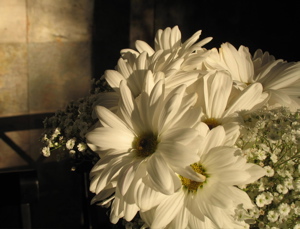daisies-on-table