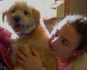dog-saves-family-nbcvid