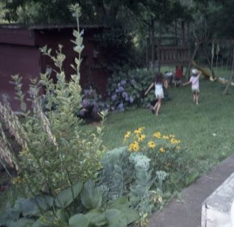 Gardens around my home