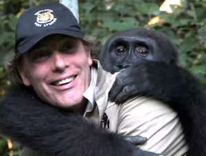 reunion of gorilla with its keeper