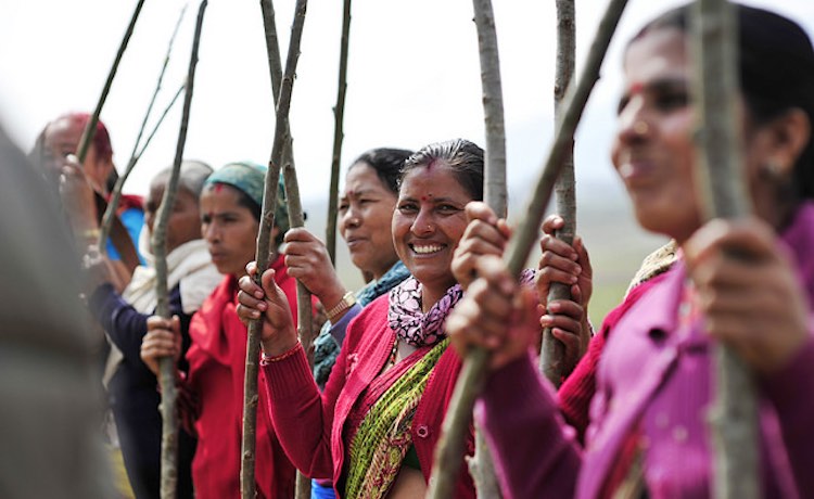 indian-women-with-saplings-cc-bioversity-international