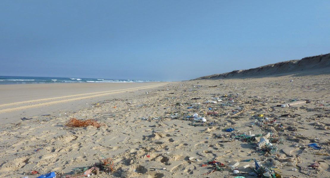 Record numbers of volunteers set to clean up UK beaches last weekend